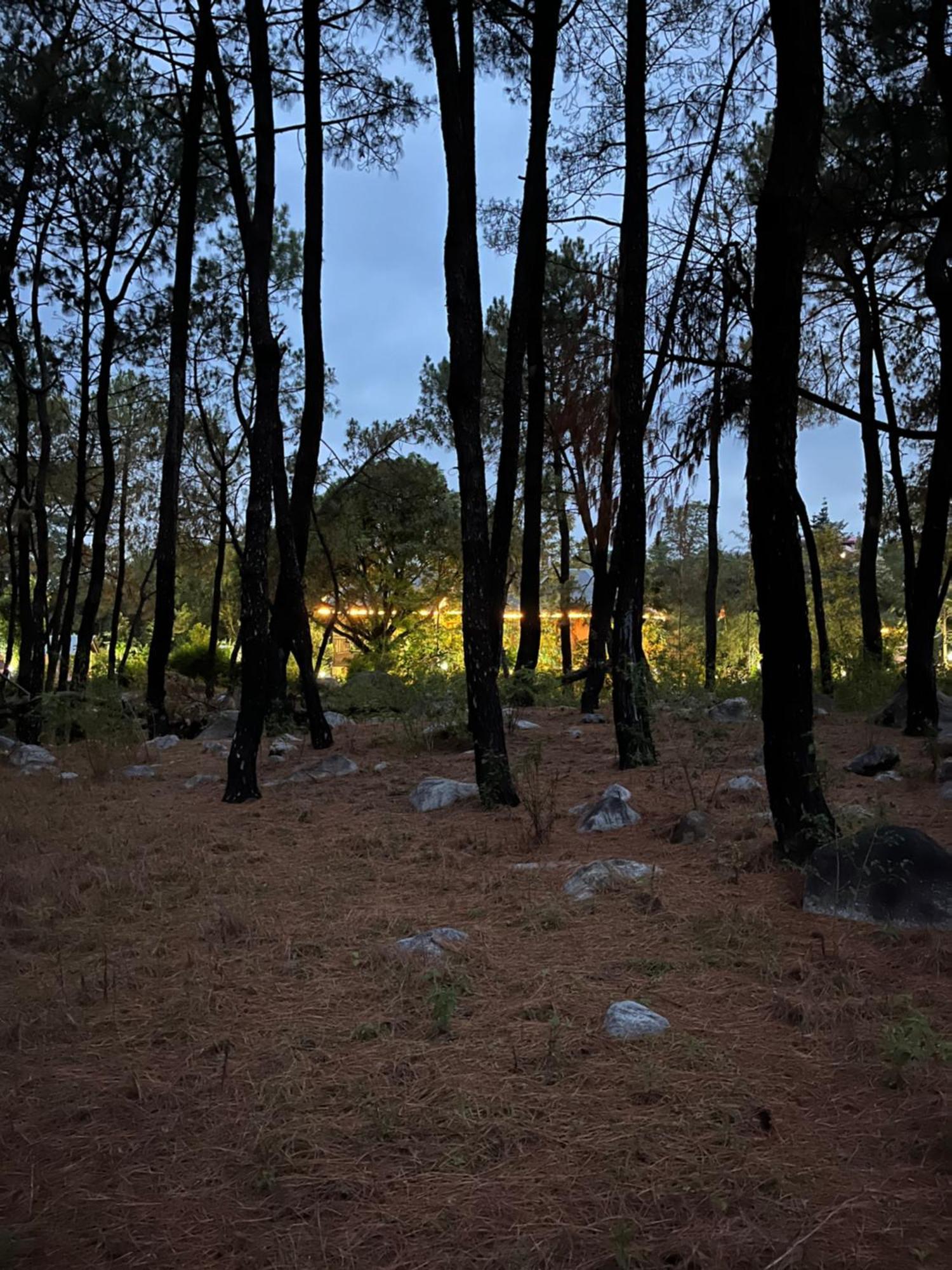 Prakriti Aalay - Riverside Mountain View Boutique Eco Resort Dharamshala Exterior foto