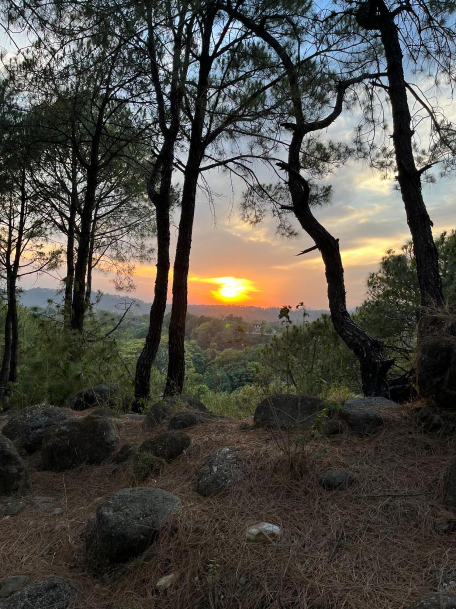 Prakriti Aalay - Riverside Mountain View Boutique Eco Resort Dharamshala Exterior foto